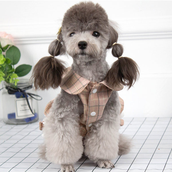 Rochie in carouri pentru caini cu guler clasic