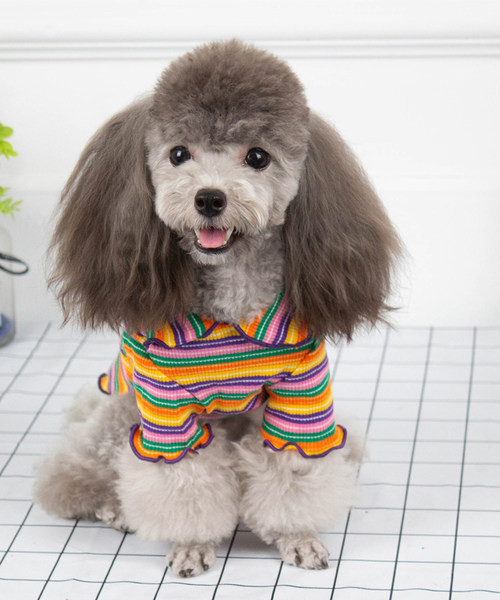 Bluză cu dungi pentru câini - trei culori