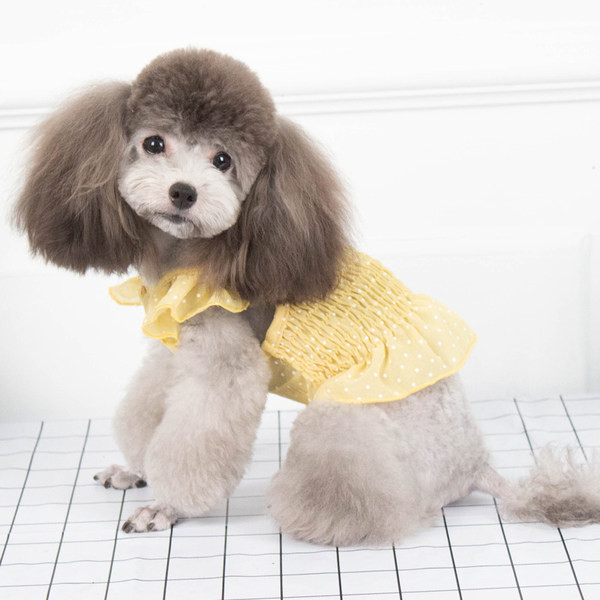 Ljetna haljina s kovrčama za pse