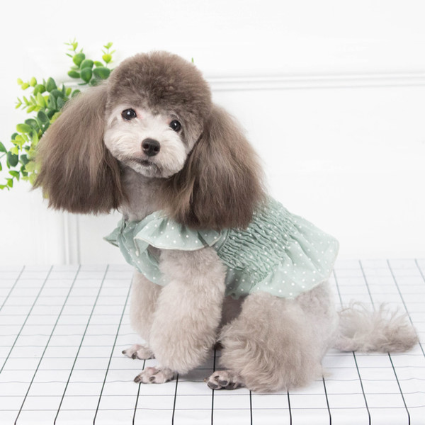 Ljetna haljina s kovrčama za pse