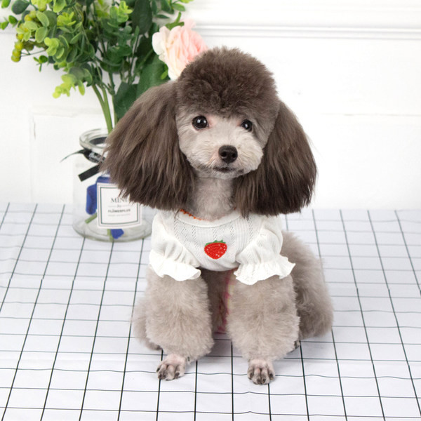 Pamučna bluza s vezom u boji za pse