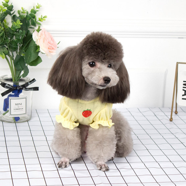 Pamučna bluza s vezom u boji za pse