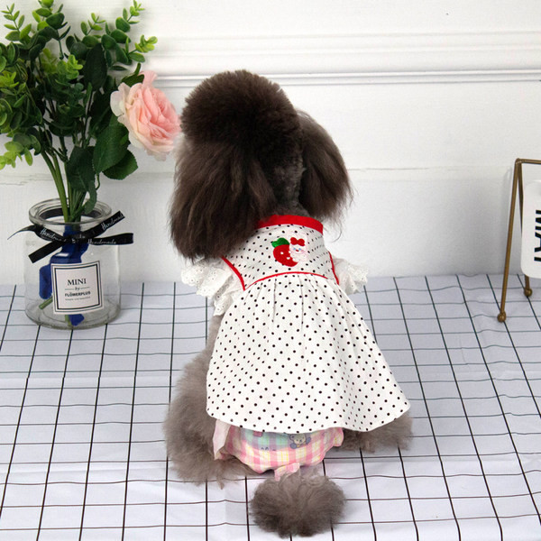 Täppide ja tikanditega koerakleit