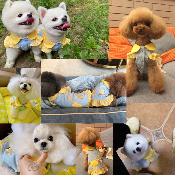 Rochie de câine sau pălărie