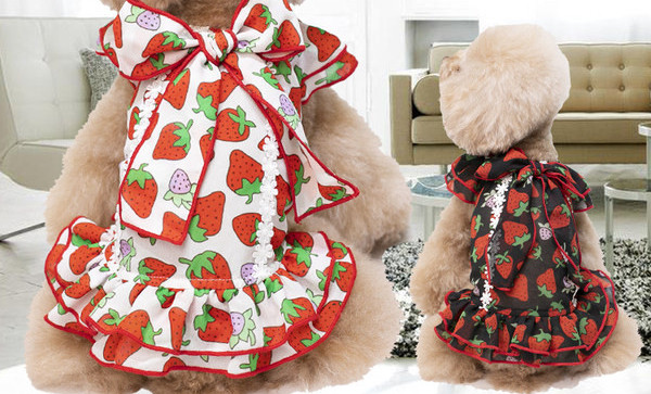 Rochie cu panglica si bucle pentru caini