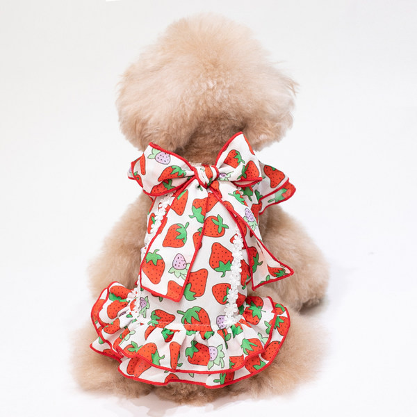 Rochie cu panglica si bucle pentru caini