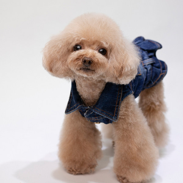 Pseća traper haljina s kovrčama