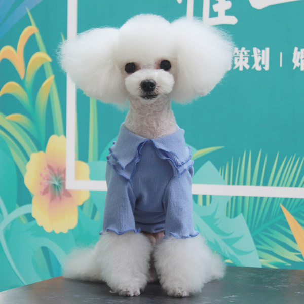 Bluză din bumbac pentru câini cu guler