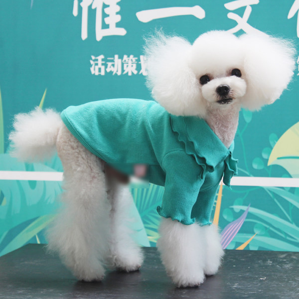 Bluză din bumbac pentru câini cu guler