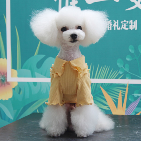 Bluză din bumbac pentru câini cu guler