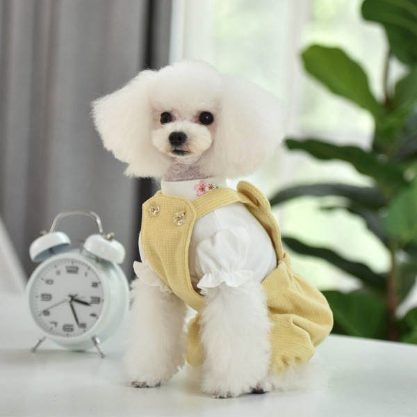 Salopeta pentru caini in trei culori