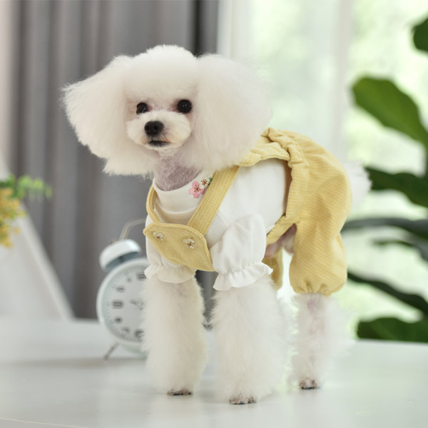 Salopeta pentru caini in trei culori