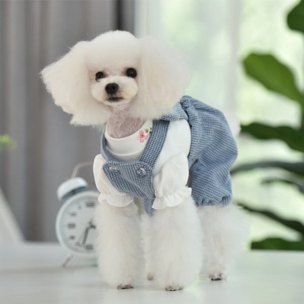 Salopeta pentru caini in trei culori