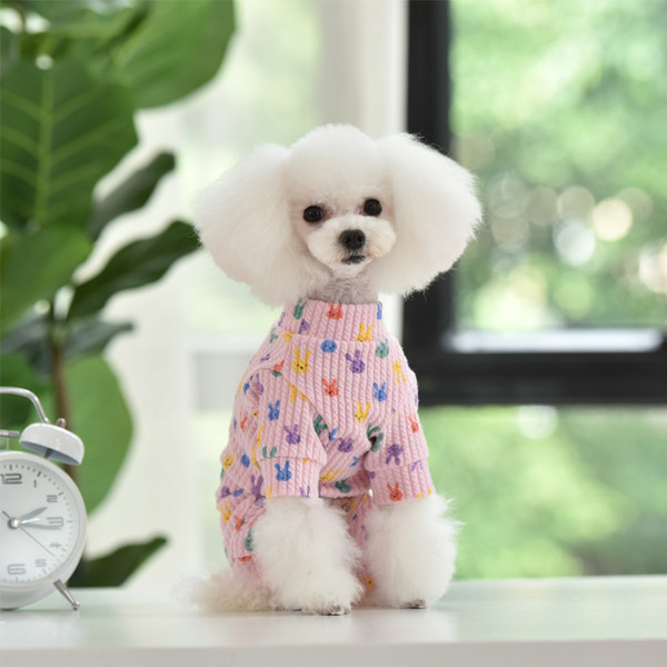 Kahes värvitoonis plisseeritud pluus koertele