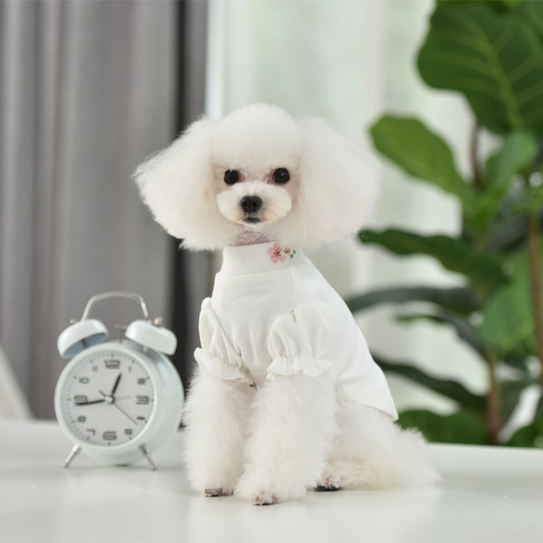 Lokkide ja tikanditega pluus koertele - valge ja roosa