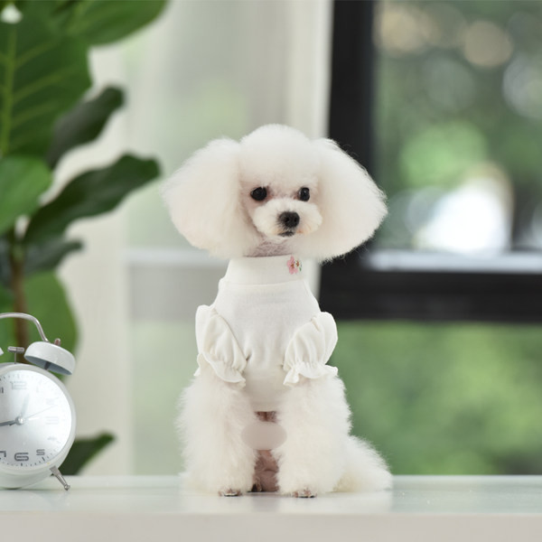 Lokkide ja tikanditega pluus koertele - valge ja roosa