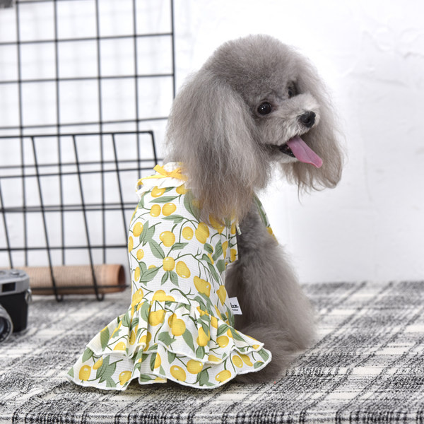 Rochie pentru caini cu model colorat