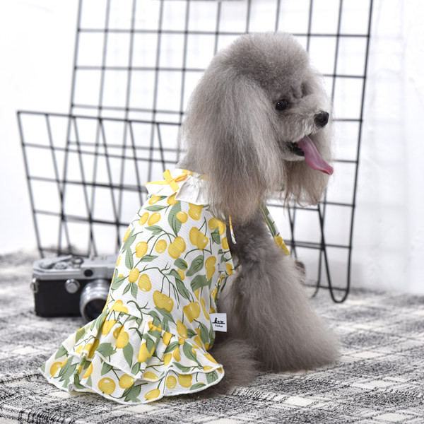 Rochie pentru caini cu model colorat