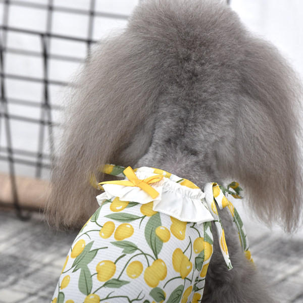 Rochie pentru caini cu model colorat