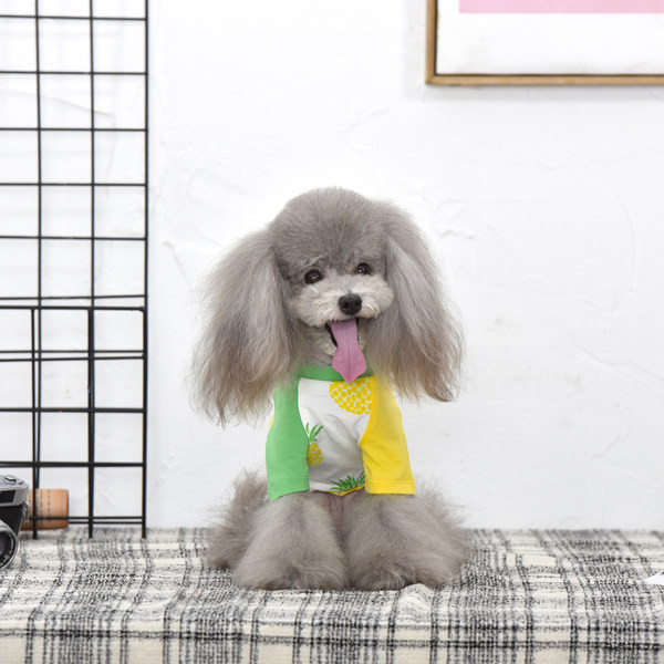 Bluză sau rochie cu tul pentru câini