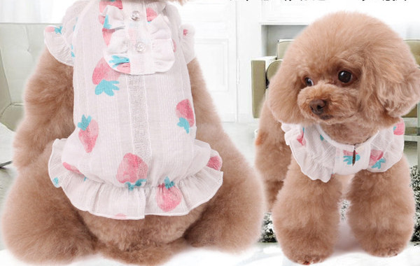 Nööpide ja maasikaaplikatsiooniga koerakleit