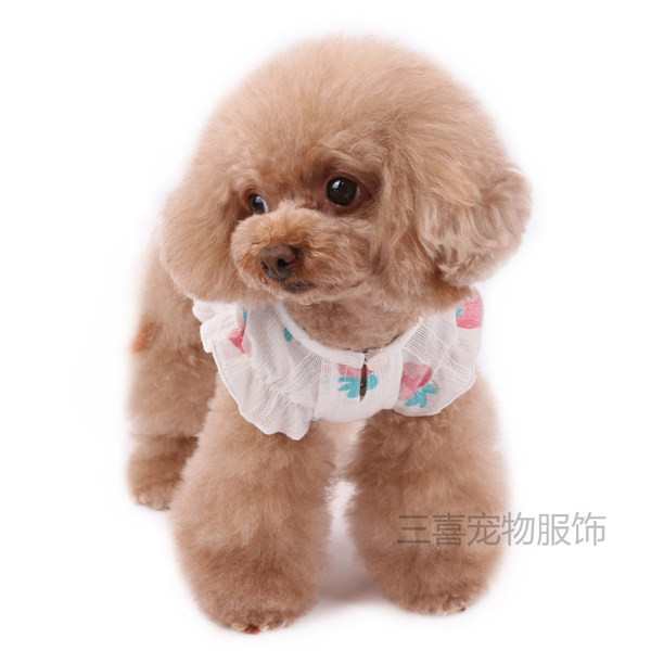 Nööpide ja maasikaaplikatsiooniga koerakleit