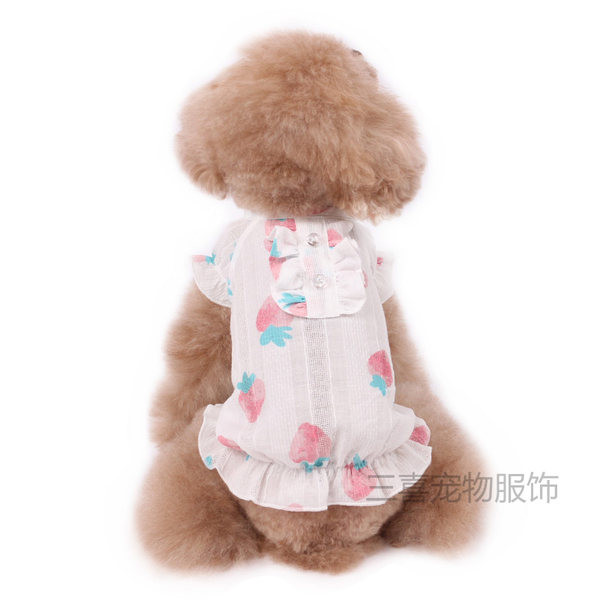 Nööpide ja maasikaaplikatsiooniga koerakleit