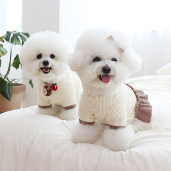 Bluză sau rochie pentru câini