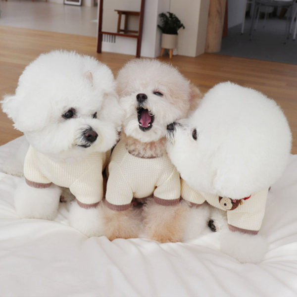 Bluză sau rochie pentru câini