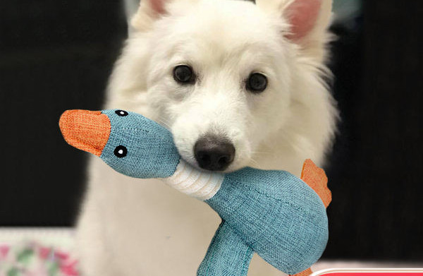 Jucărie textilă pentru câini pentru mestecat - diferite modele