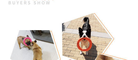 Jucărie de mestecat din cauciuc - diferite modele