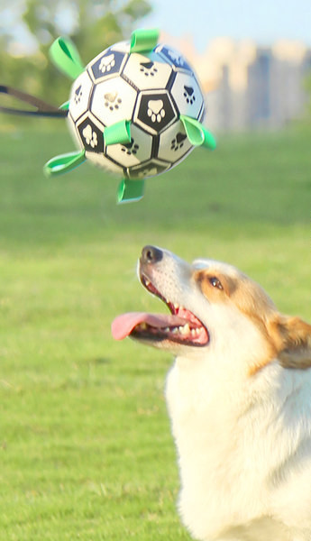 Διαφορετικά μοντέλα παιχνιδιών σκύλων για μάσημα