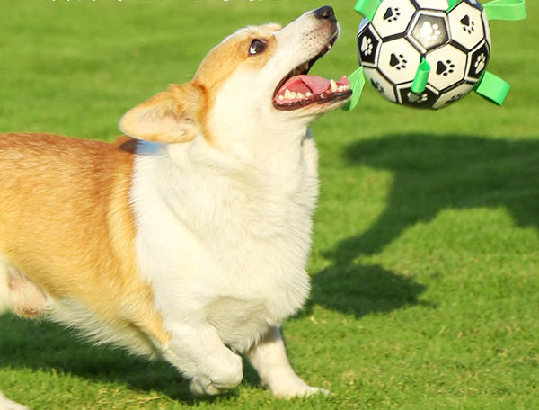 Διαφορετικά μοντέλα παιχνιδιών σκύλων για μάσημα