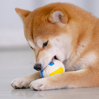 Гумена играчка за дъвчене - за малки и средни кучета