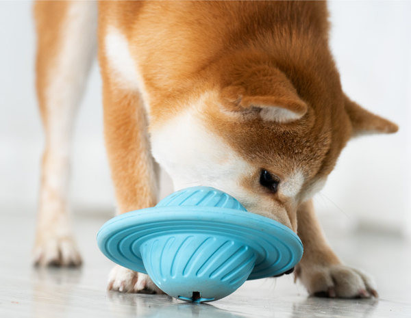 Jucărie din cauciuc în formă de farfurie zburătoare pentru câini