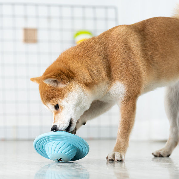 Jucărie din cauciuc în formă de farfurie zburătoare pentru câini