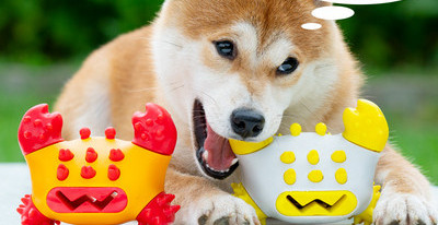 Устойчива играчка за почистване на зъби за кучета