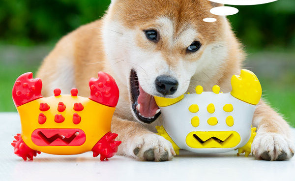 Ανθεκτικό παιχνίδι για τον καθαρισμό των δοντιών για σκύλους