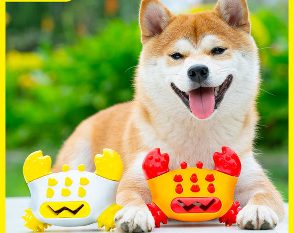 Ανθεκτικό παιχνίδι για τον καθαρισμό των δοντιών για σκύλους