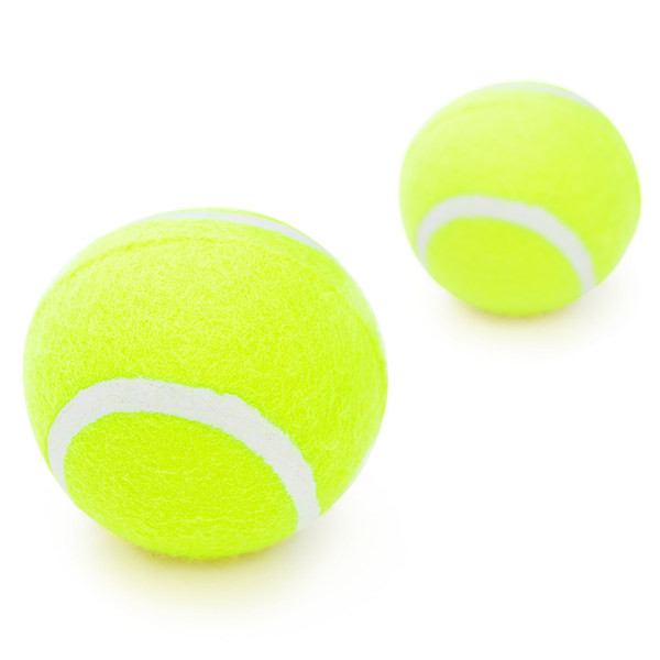 Minge pentru a juca câini și a mesteca