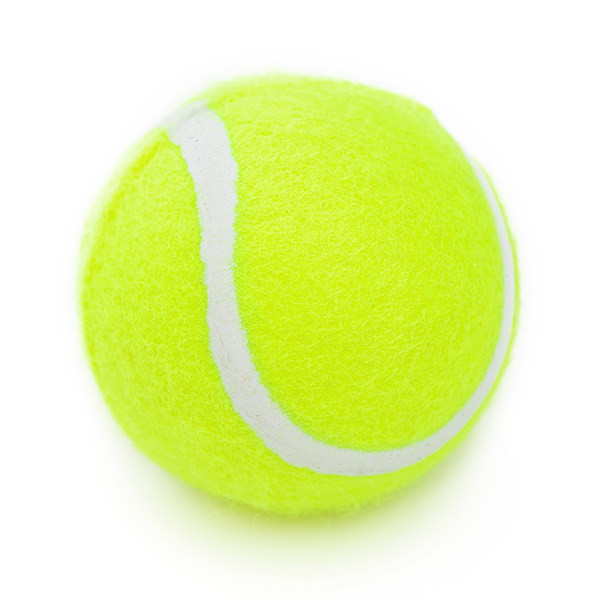 Minge pentru a juca câini și a mesteca