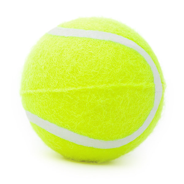 Minge pentru a juca câini și a mesteca