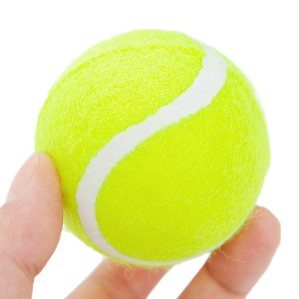 Minge pentru a juca câini și a mesteca