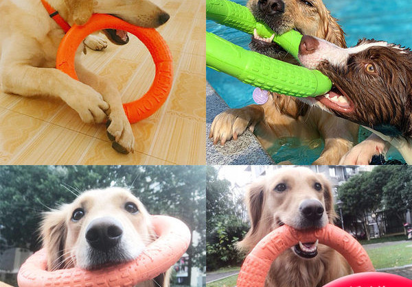 Kummist mänguasi koertele - mitu mudelit