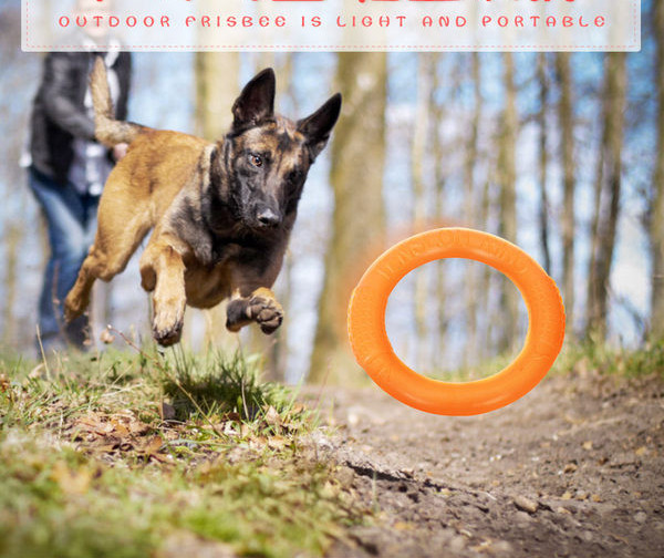 Kummist mänguasi koertele - mitu mudelit