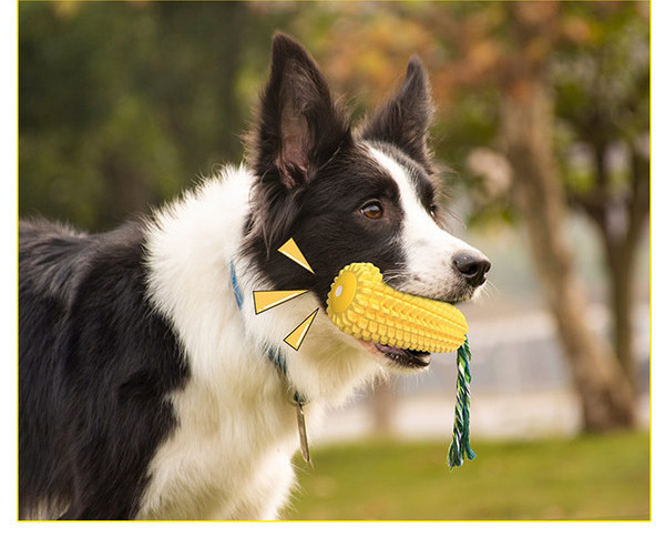 Jucărie de mestecat din silicon