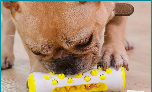 Jucărie durabilă pentru câini