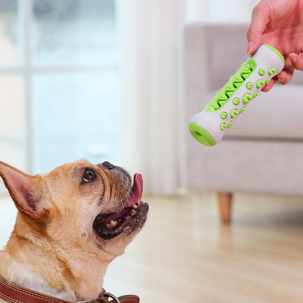 Jucărie durabilă pentru câini