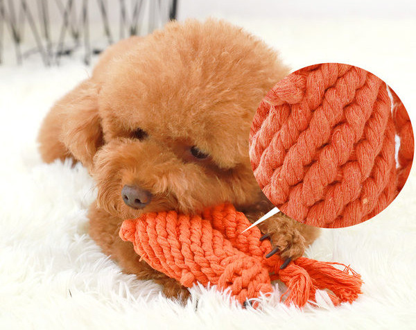 Παιχνίδι - πολλά μοντέλα