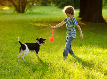 Играчка за кучета -въже с топка